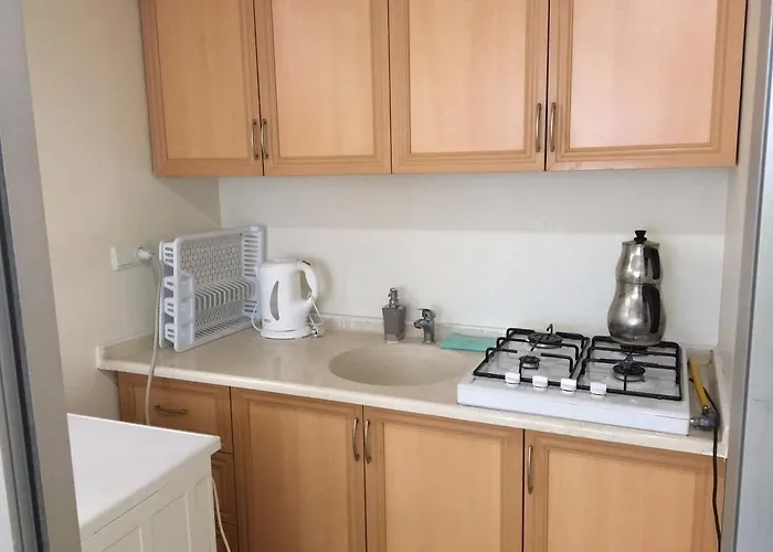 Adres Konutlari Didim