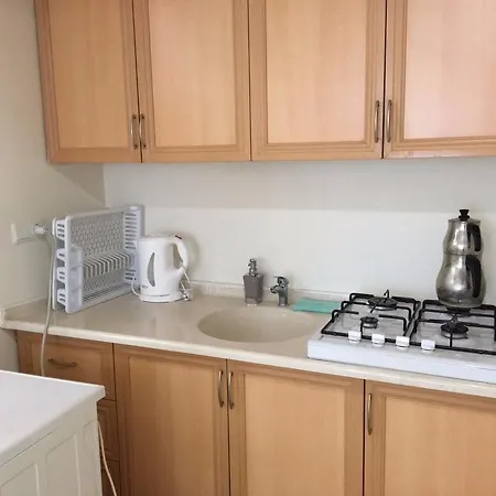 Adres Konutlari Didim